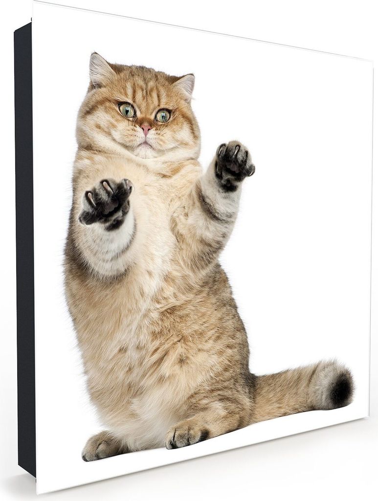 Nachbildung-Schlüsselkasten, Magnetpinnwand und Memoboard mit Glasfront Motiv Kurzhaar Katze