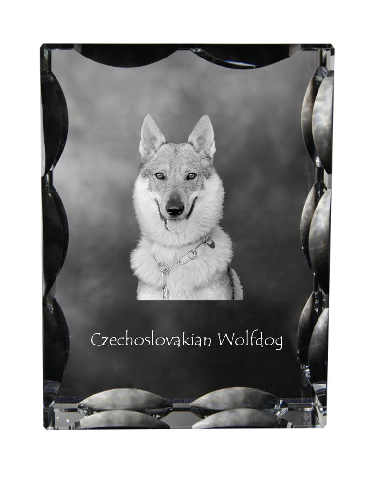 Tschechoslowakischer Wolfhund - Kristall mit einem Hundebild, Glasstatuette mit einem Bild, einzigartiger Bilderrahmen der Marke Art-Dog