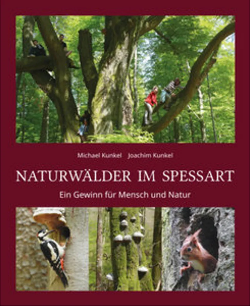 Beau Livre de Photographies Naturwälder im Spessart Nature Sauvage