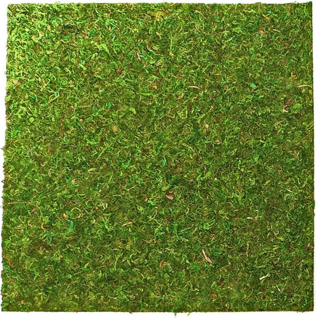 Repti-Zoo Fond Mousse Naturelle 45x45cm Back&Bottom Décoration Vivarium