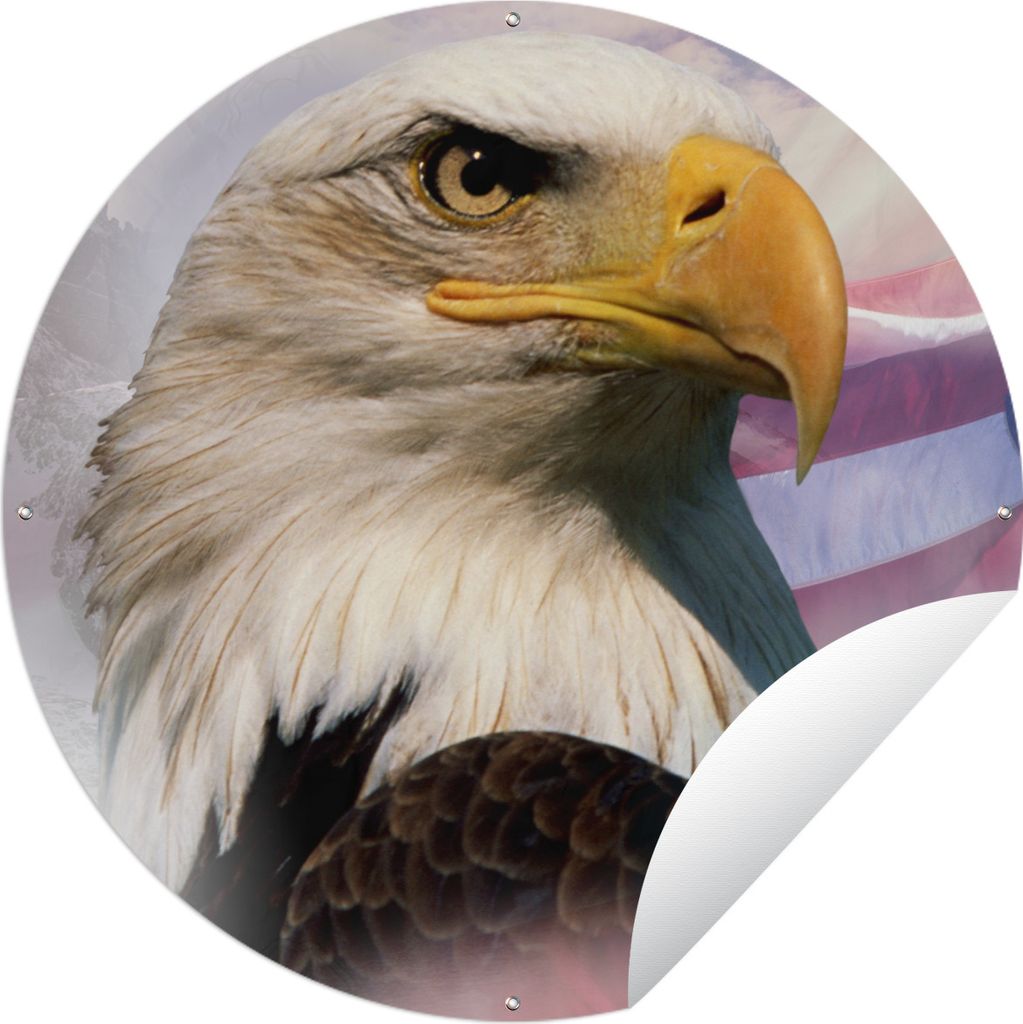 MuchoWow Gartenposter Outdoor-Poster Rund Ein amerikanischer Weißkopfseeadler mit einer amerikanischen Flagge und Bergen Ø 60 cm Gartendeko Run...