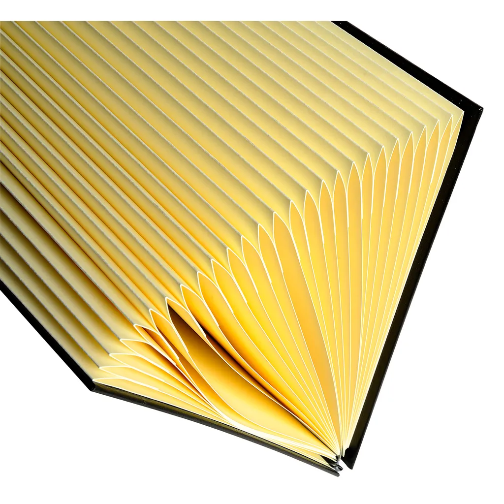 Trieur à soufflets rigide avec onglets plastifiés pour documents A4 - 7