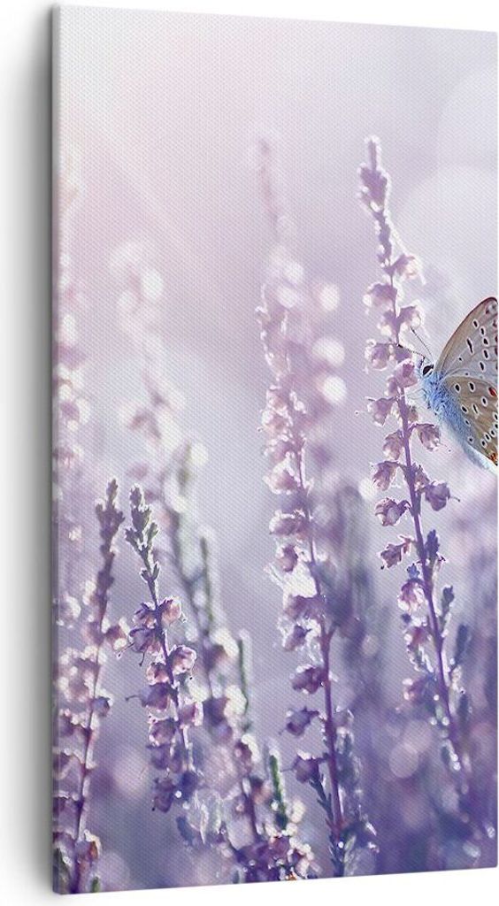 Bild auf Leinwand - Leinwandbild - Schmetterling Wiese Blume - 45x80cm - Wand Bild - Wanddeko - Leinwanddruck - Bilder - Kunstdruck - Wanddekoratio...