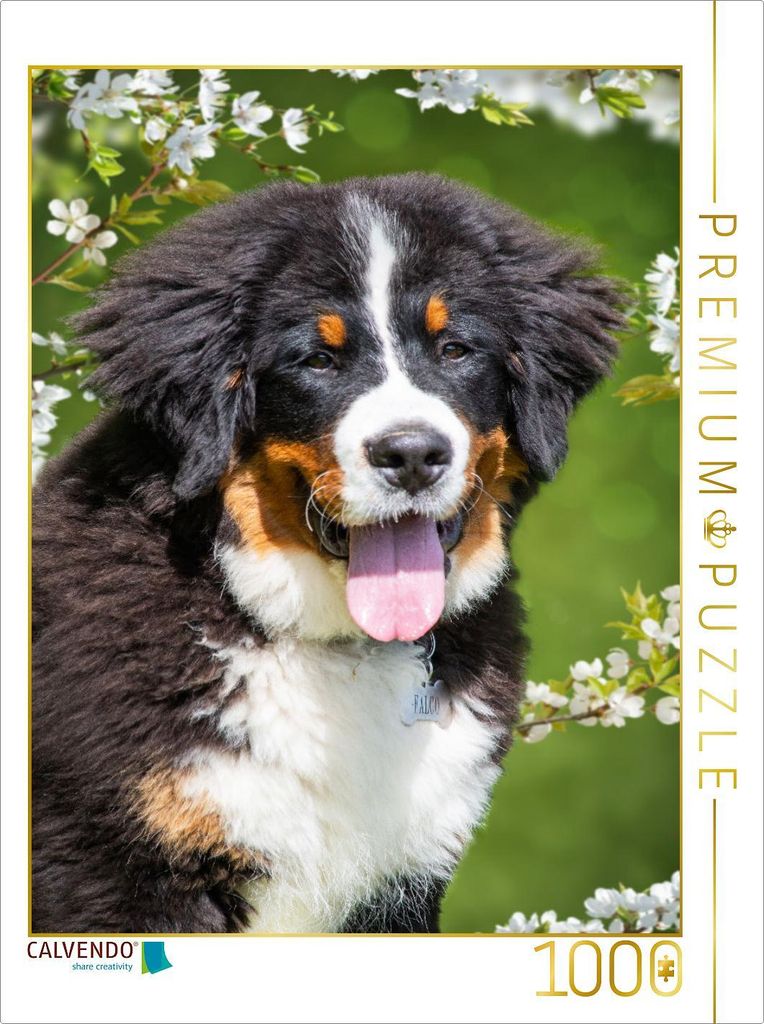 CALVENDO Puzzle 5 Monate alter Junghund | 1000 Teile Lege-Größe 64x48cm Foto-Puzzle für glückliche Stunden