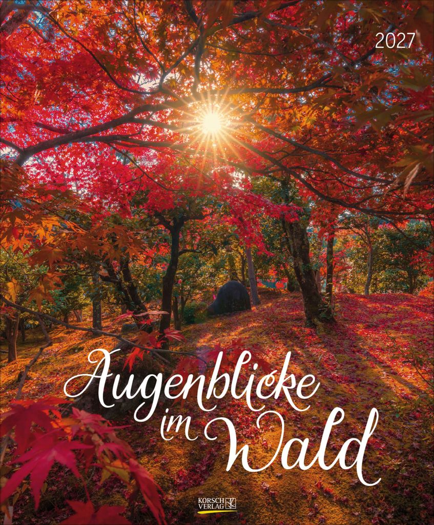 Korsch Kalender 2027 Augenblicke im Wald Großformat