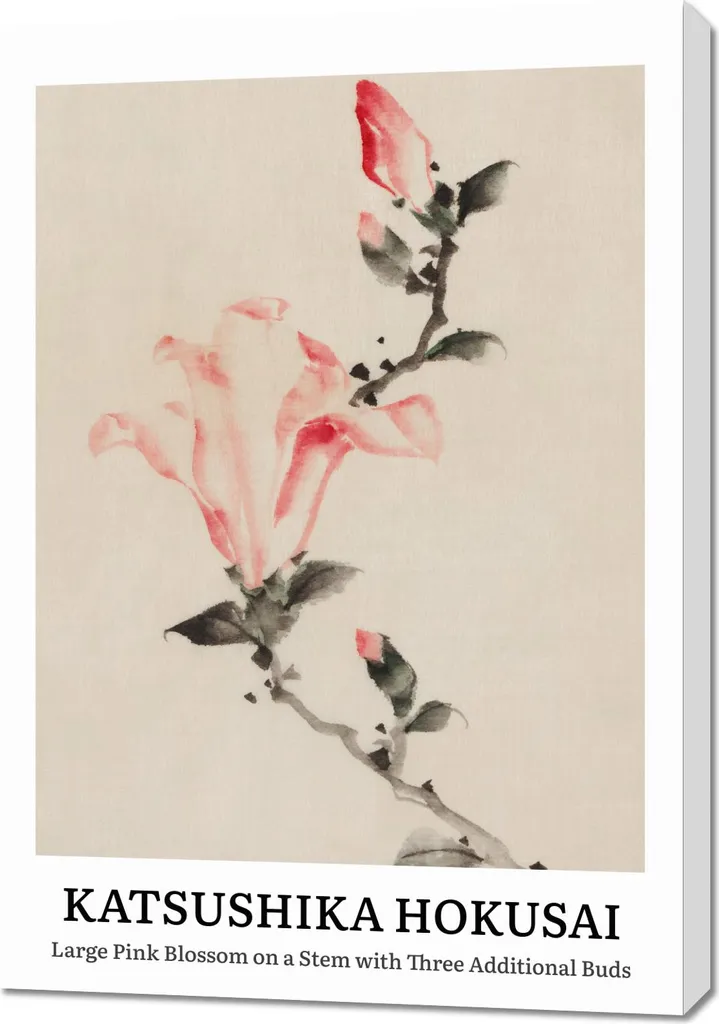 Quadro Grande 70x100 Hokusai Fiori Rosa - Decorazione Parete Salotto
