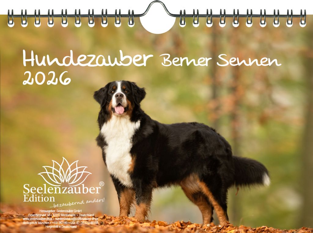 Hundezauber Berner Sennen DIN A5 Kalender für 2026 Welpen Produktbild 