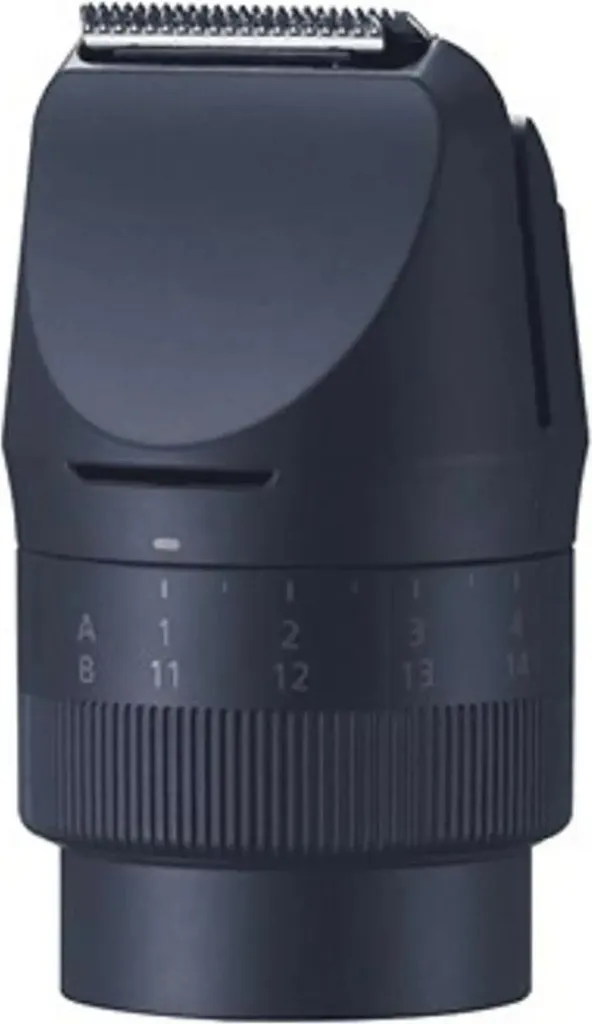 Tête Panasonic ERCTN1A301 pour un entretien de barbe impeccable au quotidien