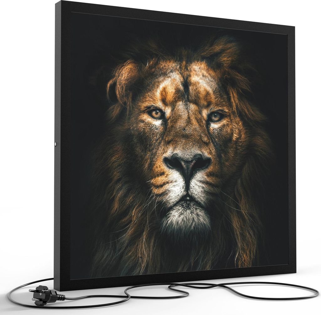 DEQORI LED-Bild & Lampe 60x60 cm Schwarz 'Der König im Schatten' Leuchtbild LED Leuchte