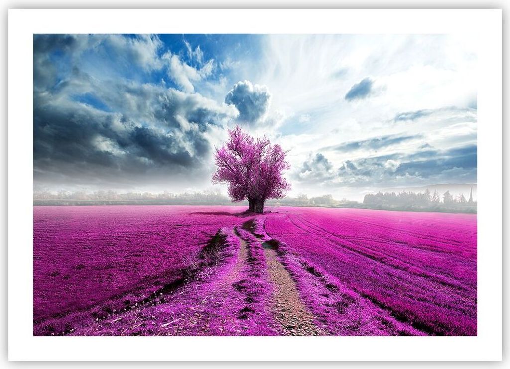 Poster - Poster ohne Rahmen - Heidefeld Baum Wolken Landschaft - 70x50 cm - Wand Bild - Wanddeko - Wandbilder - Kunstposter - Wandposter - Bilder -...