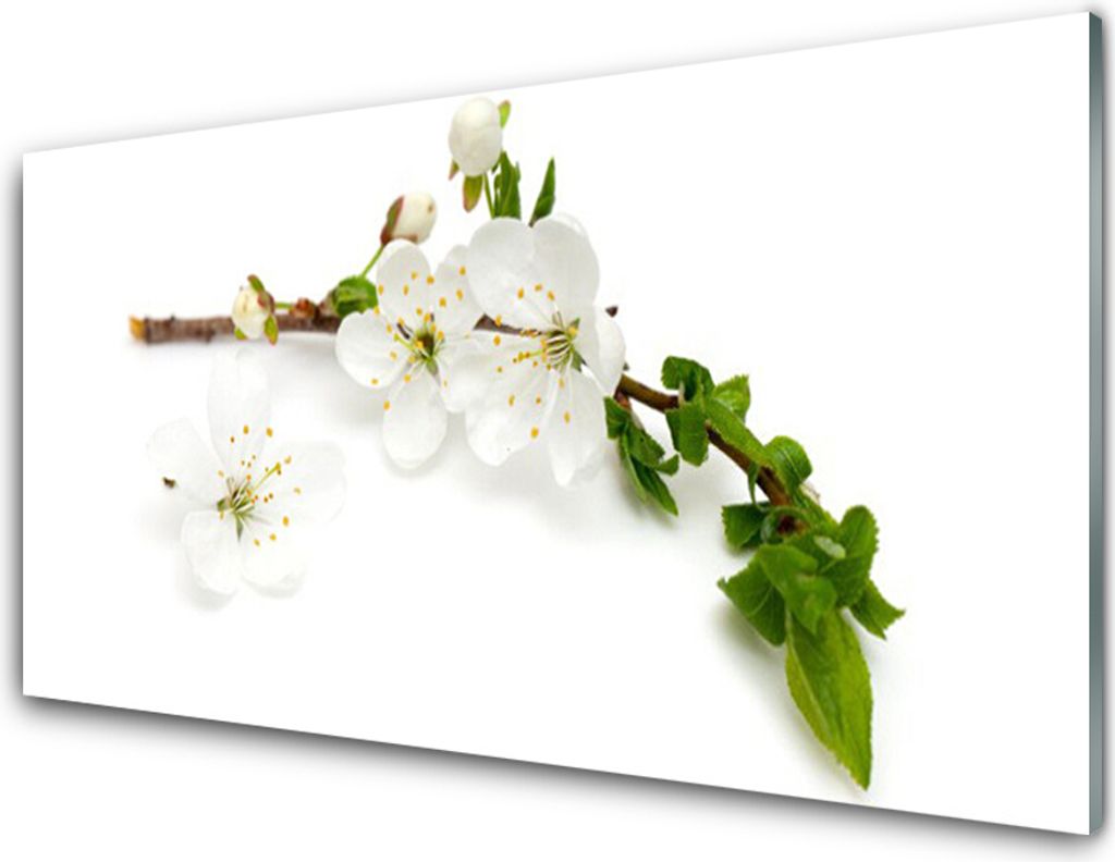 Acrylglasbilder 100x50 Wandbild Druck Blumen Zweig Natur