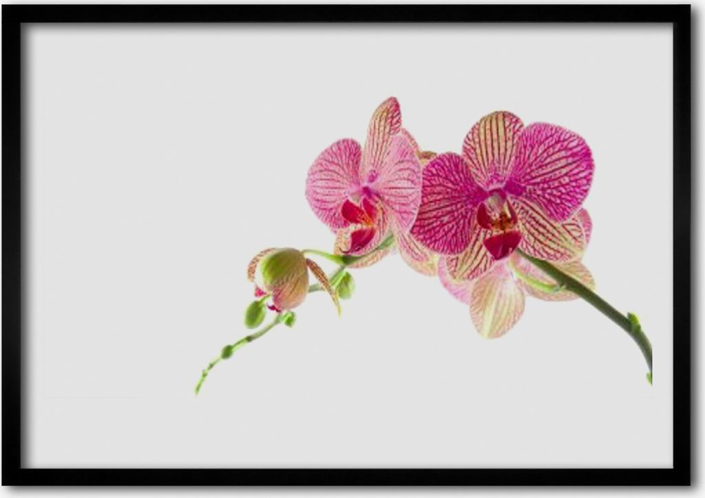 Bild 100x70 MDF-Rahmen Wandkunst Blumen Pflanzen