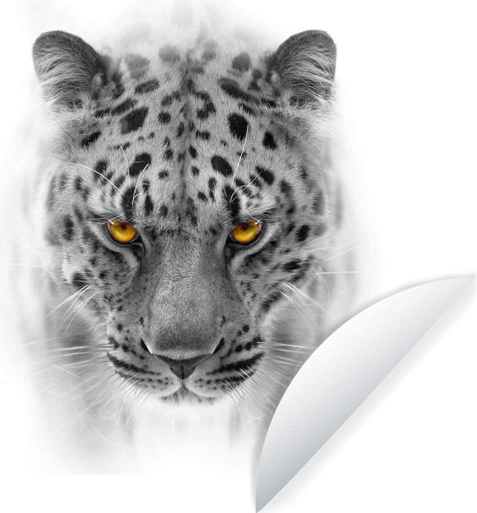 MuchoWow Runde Wandtattoo - Wandsticker Tapete Aufkleber Leopard - Schwarz - Weiß - Tiere Ø 100 cm Selbstklebend und Repositionierbar - Wandauf...