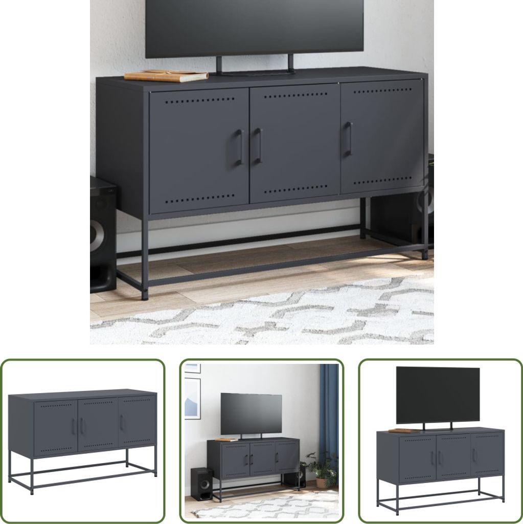 The Living Store TV-Schrank Anthrazit 100,5x39x60,5 cm Stahl