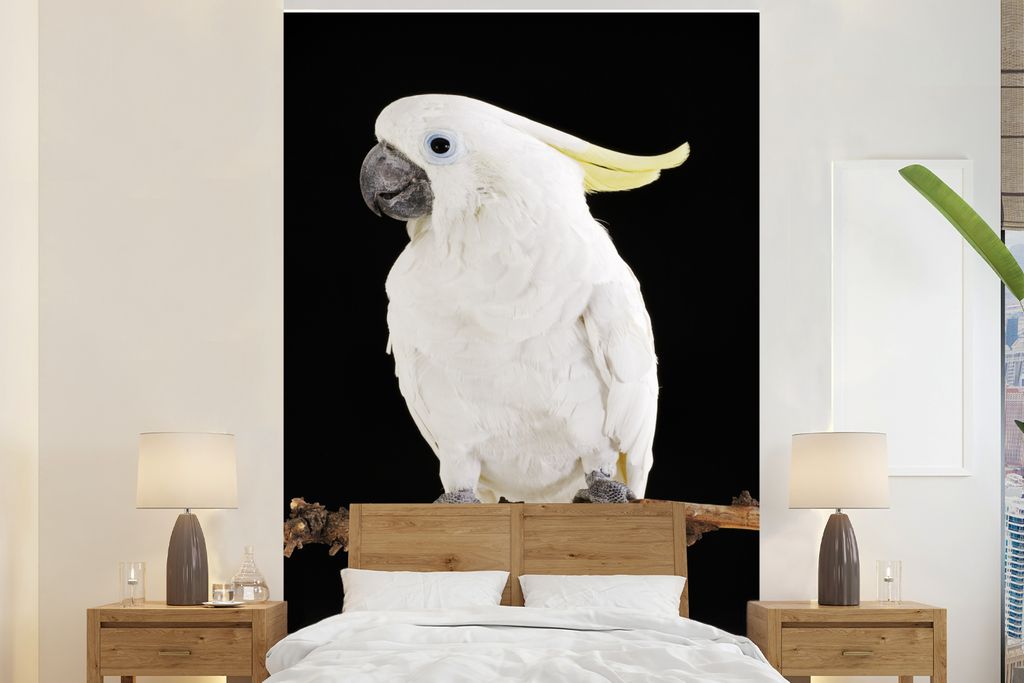 MuchoWow Fototapete für Wohnzimmer oder Schlafzimmer Wandtapete Vinyl Motivtapete Weißer Kakadu auf schwarzem Hintergrund - 145x220 cm - Wandde...