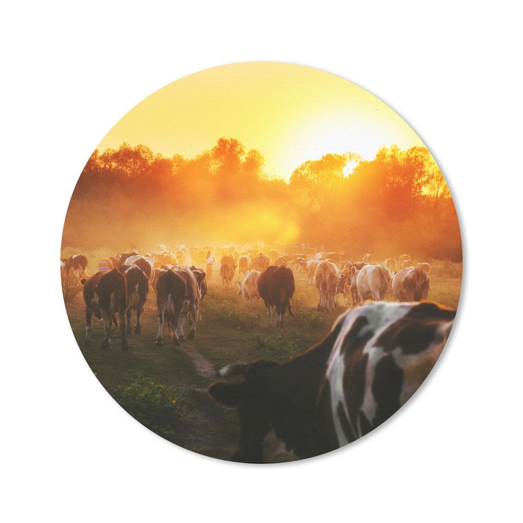 MuchoWow Mauspad Mousepad Kühe - Sonnenuntergang - Wiese - Tiere 30x30 cm - Mousepads - Maus Mat - Pad - Mausunterlage - Tischunterlage - Schrei...
