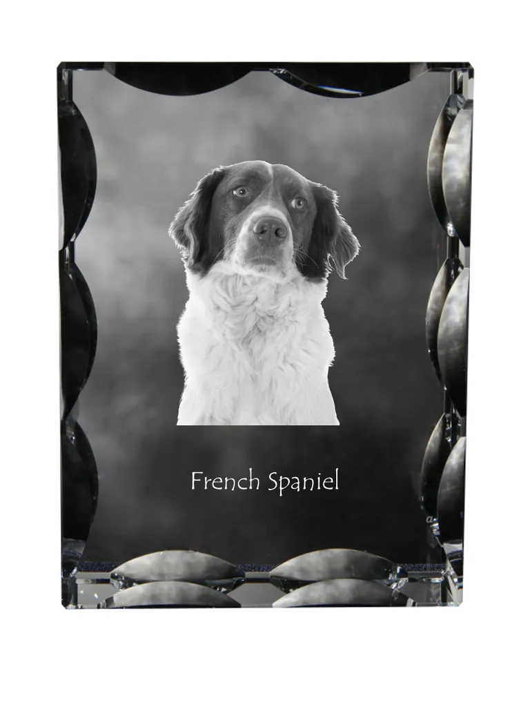 Cristallo con Foto Cane Art-Dog: Cornice in Vetro Personalizzata 3D