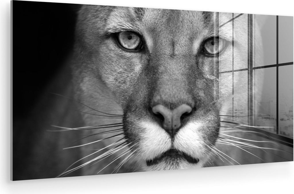 MuchoWow Glasbilder - Bilder auf Wandbild - Foto auf Glas Panther - Wildlife - Schwarz - Weiß 120x60 cm Wanddekoration aus Glas - Acrylglasbild - ...