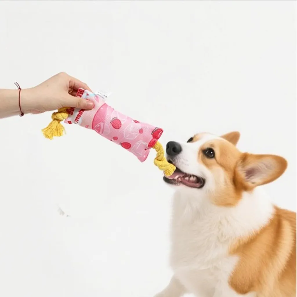 INF Gioco Masticabile Cani Corda Poliestere - Resistente e Sicuro