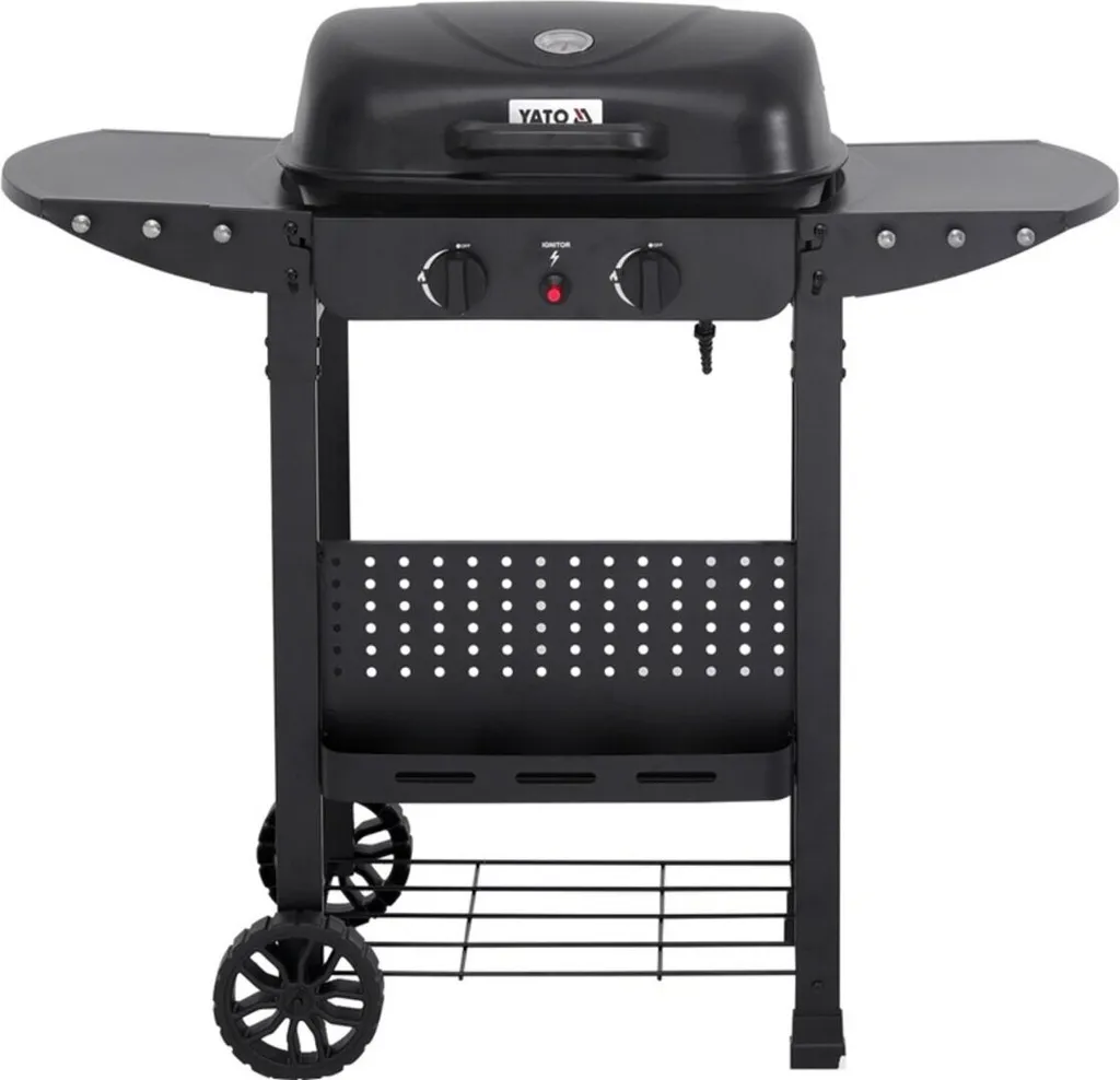 Gril à gaz 5kW avec 2 brûleurs inox - Structure acier 100cm haute qualité