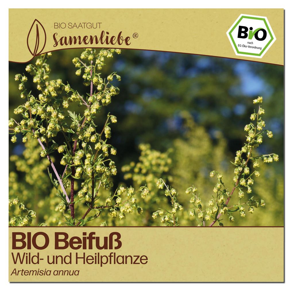 Samenliebe  Beifuß Samen | Gemeiner Beifuß - samenfestes  Produktbild 
