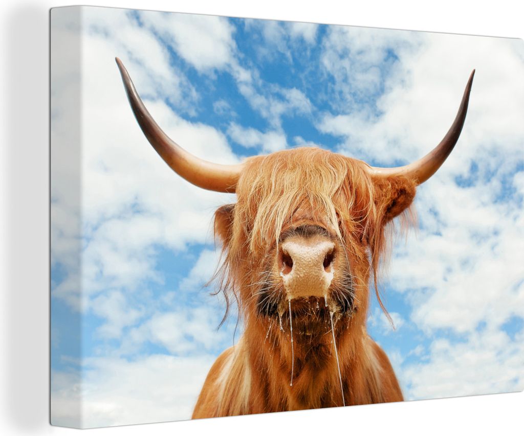 OneMillionCanvasses - Leinwandbilder - 140x90 cm, Schottisches Hochlandrind - Kuhkopf - Hörner, Wandbilder Wohnzimmer Hochland Rind - Tier Wandd...