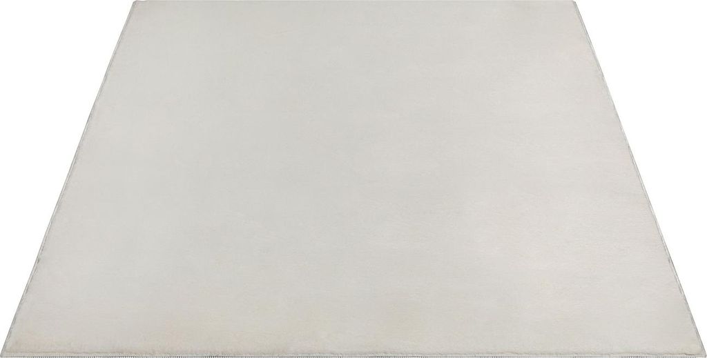 FLOORNOVO Hochflor Teppich Beige einfarbig - 220 x 160 cm - Besonders Weicher Teppich Wohnzimmer & Badezimmerteppich - Pflegeleicht - vielseitig ei...