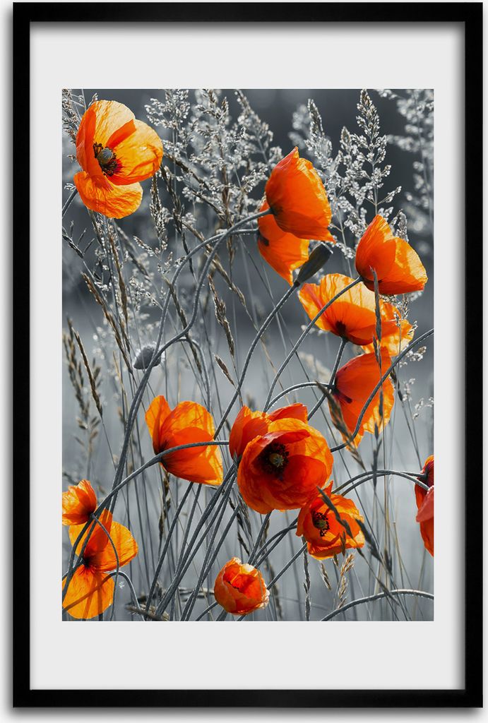 Bild - Bilderrahmen - 40 cm x 60 cm - MDF - Rahmen - Wandkunst - Feldmohnblumen