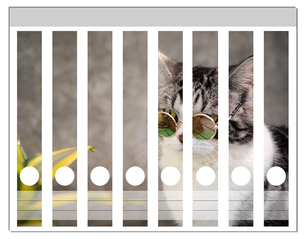 Wallario Ordnerrücken Sticker, selbstklebend für schmale Ordner, 8 Stück, Motiv Katze mit Stil