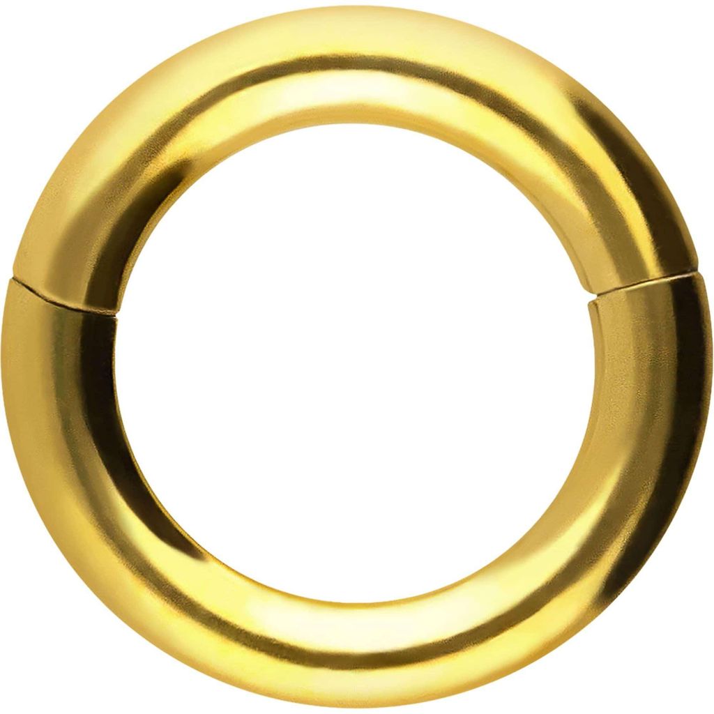 Ohrpiercing, Nasenpiercing, Septum Piercing Chirurgenstahl Segmentring Clicker Gold Innendurchmesser: 8mm + Stabstärke: 2,5mm
