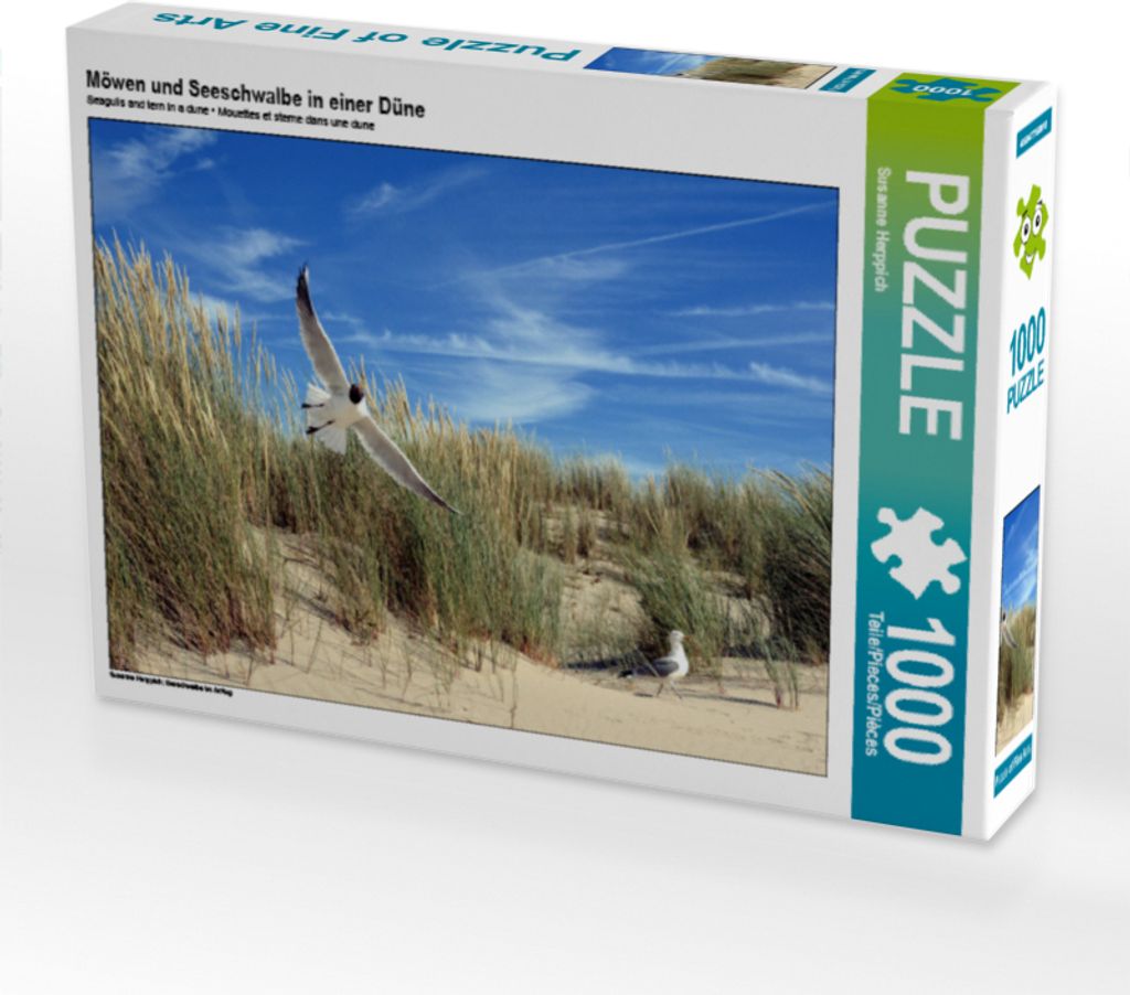 CALVENDO Puzzle Möwen und Seeschwalbe in einer Düne | 1000 Teile Lege-Größe 64x48cm Foto-Puzzle für glückliche Stunden