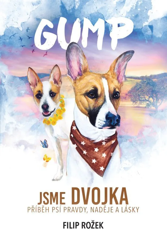 DVD Gump Jsme dvojka - Film d'aventure familial sur l'amitié entre chiens