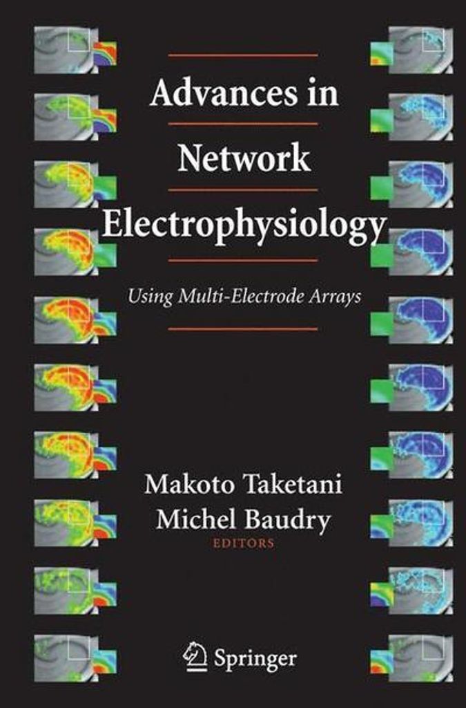 Fortschritte in der Netzwerk-Elektrophysiologie