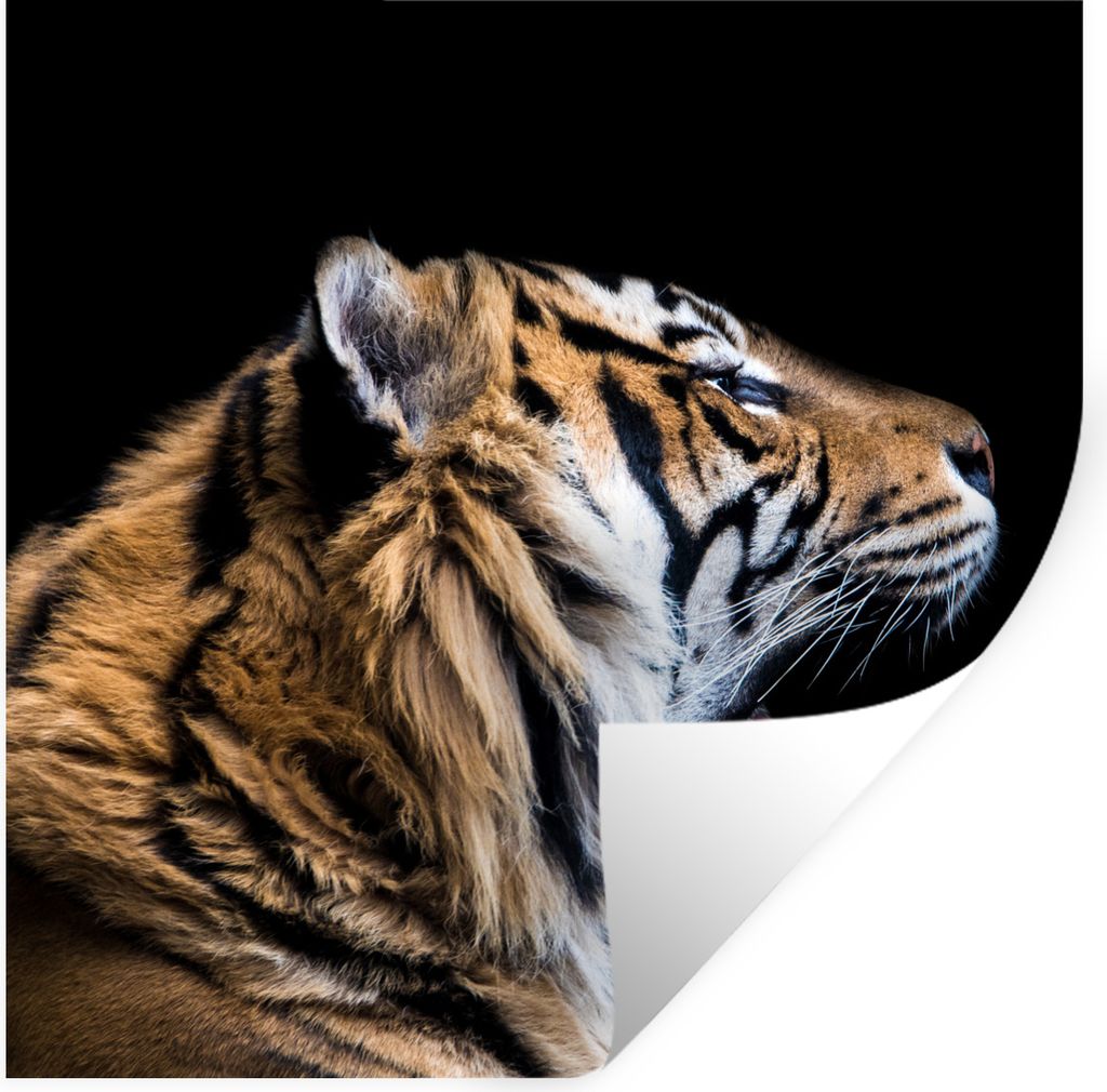 MuchoWow Wandtattoo Wandsticker Wandaufkleber Tiger - Tiere - Porträt 50x50 cm Selbstklebend und Repositionierbar - Selbstklebend - Fototapeten