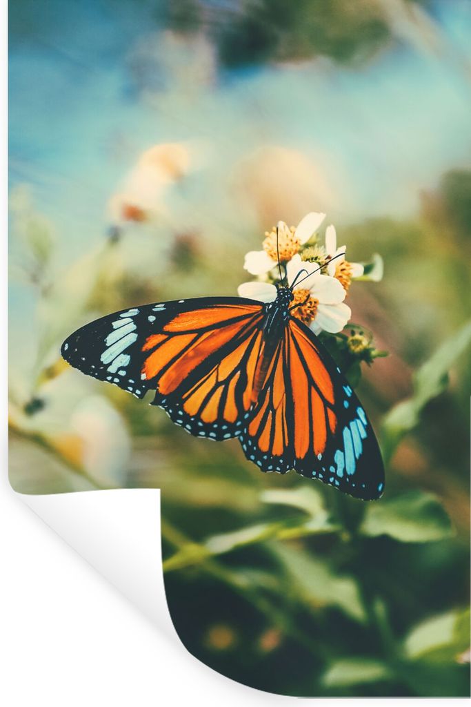 MuchoWow Wandtattoo Wandsticker Wandaufkleber Schmetterling - Blumen - Garten 60x90 cm Selbstklebend und Repositionierbar - Sticker - Dekorfolie