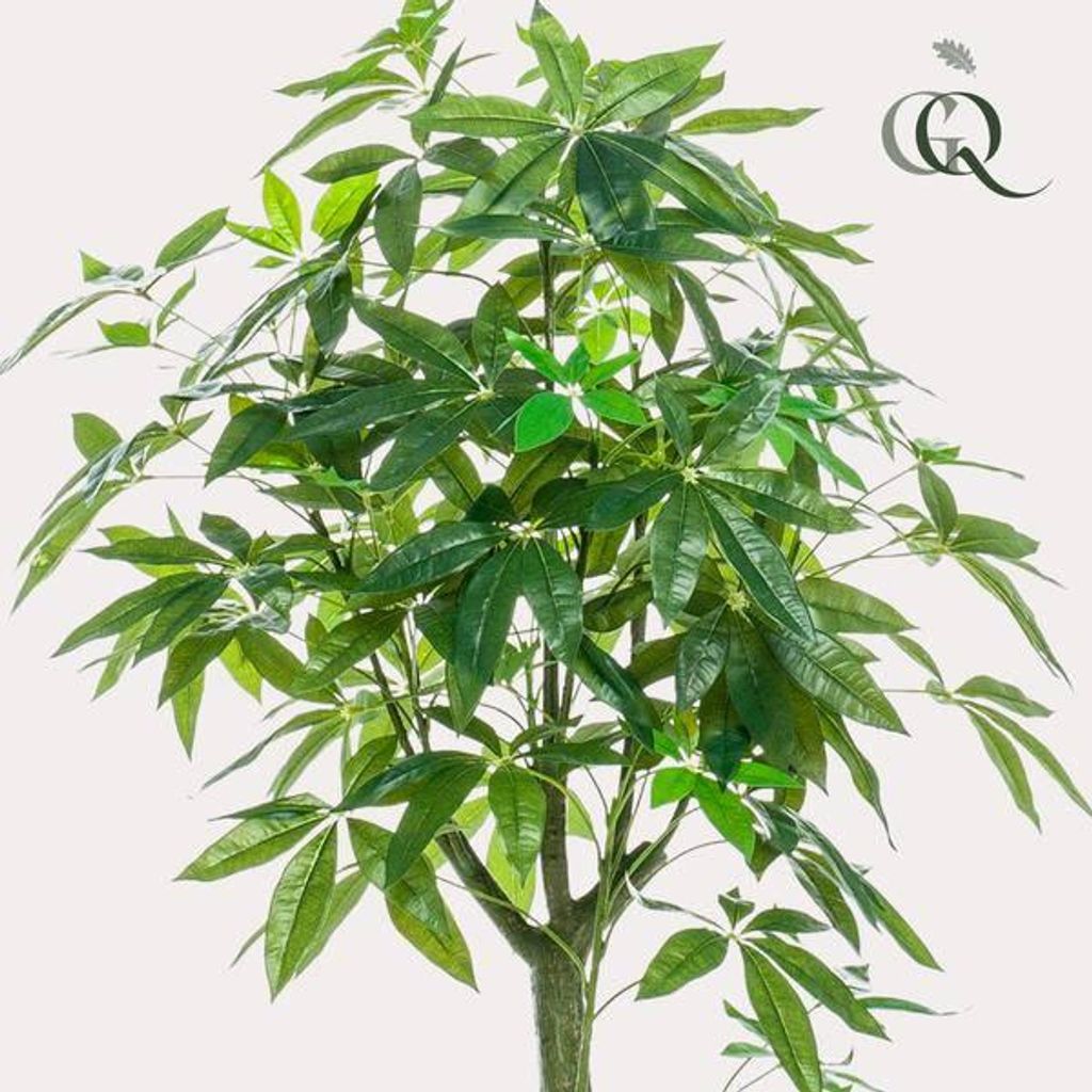 Pachira Aquatica Kunstpflanze 150cm Glückskastanie Baum künstlicher Baum