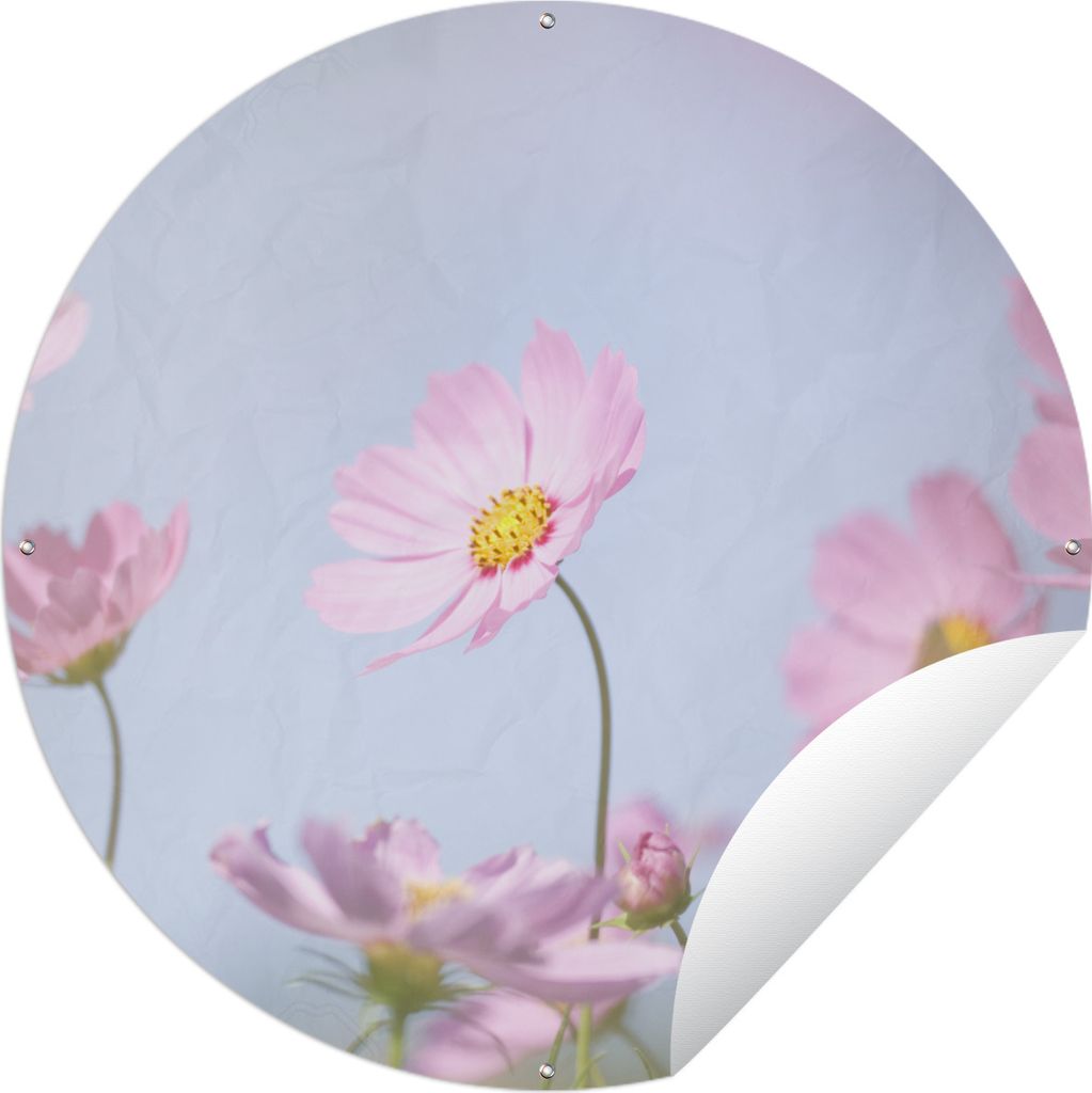 MuchoWow Gartenposter Outdoor-Poster Rund Blumen - Rosa - Draußen - Natur Ø 90 cm Gartendeko Rundes Poster draußen