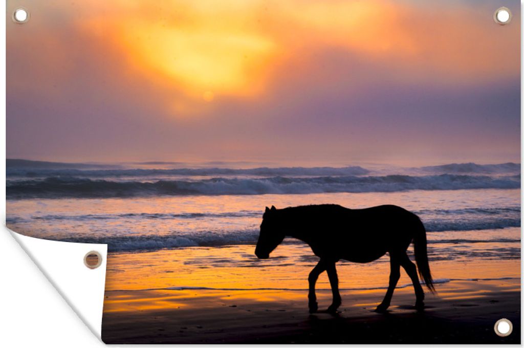 MuchoWow 60x40 cm Outdoor-Poster Gartendeko Sichtschutz Garten Poster für den Garten Pferd bei Sonnenuntergang am Strand