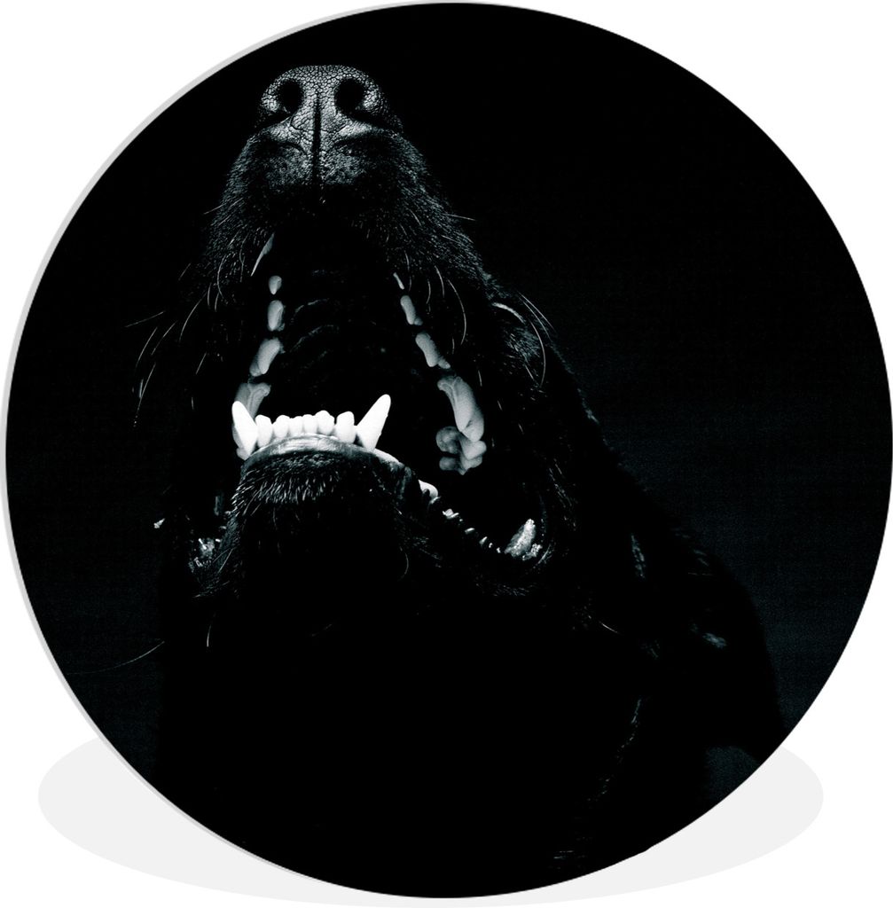 MuchoWow Rundes Wandbild - Runde Bilder Tierprofil Hund mit offenem Maul in schwarz und weiß Ø 30 cm Kreis Wanddekoration Kunststoff - Wandkrei...