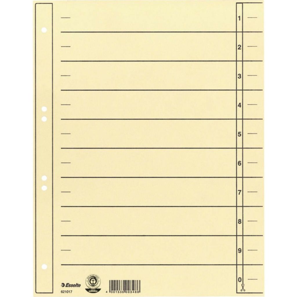 Esselte 621017 Trennblatt - A4 Überbreite, Karton, chamois, Immagine del prodotto 