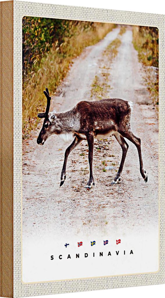 Holzschild Reise 20x30cm Skandinawien Hirsch Natur Weg Urlaub