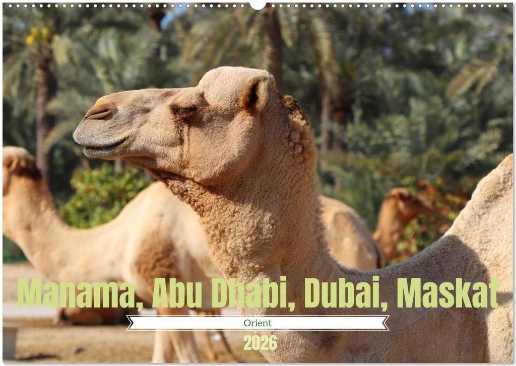 Orient - Manama, Abu Dhabi, Dubai, Maskat (Wandkalender 2026 DIN A2 quer), CALVENDO Monatskalender
