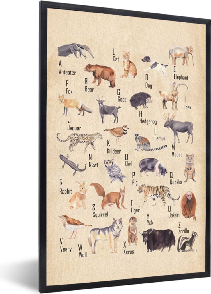 MuchoWow Gerahmtes Poster Alphabet - Tiere - Hund - Katze - Lehrreich - Retro - Kind - Kinder 60x90 cm - Poster mit Schwarzem Bilderrahmen Wandpo...