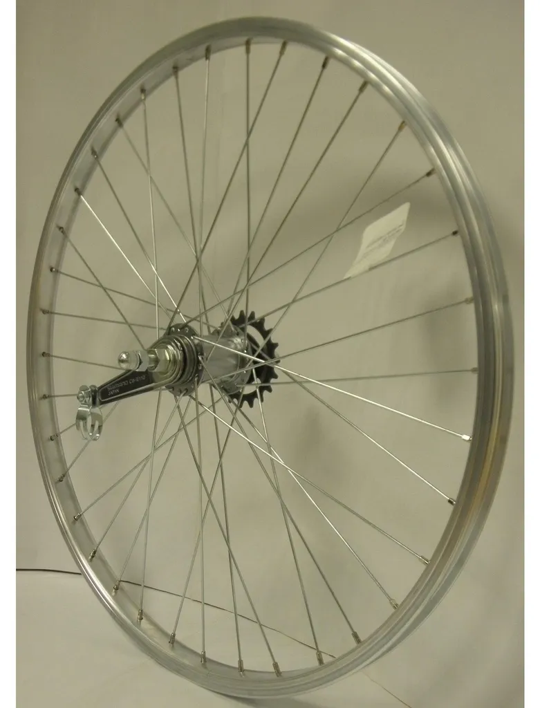 Roue Roland 24x1.75 en Alliage Léger et Moyeu Shimano Remnaaf Robuste