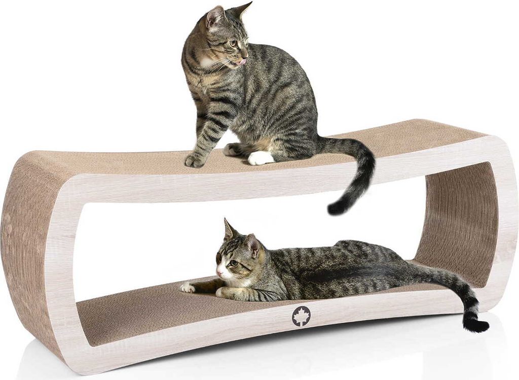 JUMBO Galaxy XXL | griffoir canadien pour chat | bois Image du produit 