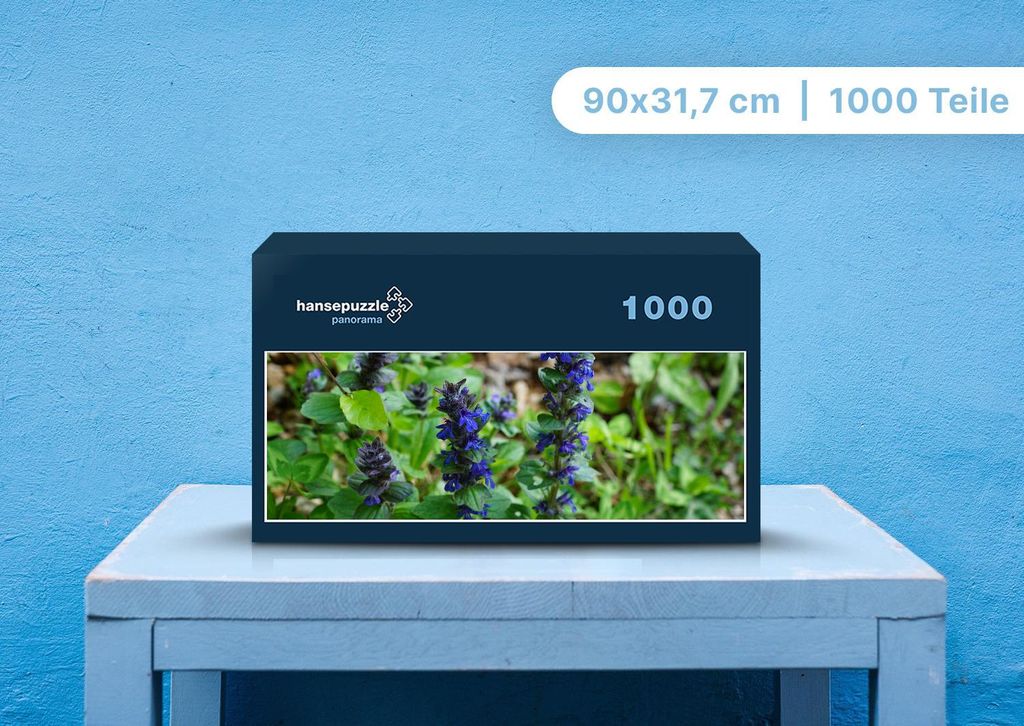 hansepuzzle 98854 - Pflanze Puzzle, 1050 Teile, Natur, 60,0 x 46,0cm mit hochwertiger Aufbewahrung, Kartonbox und wiederverschließbarem Beutel