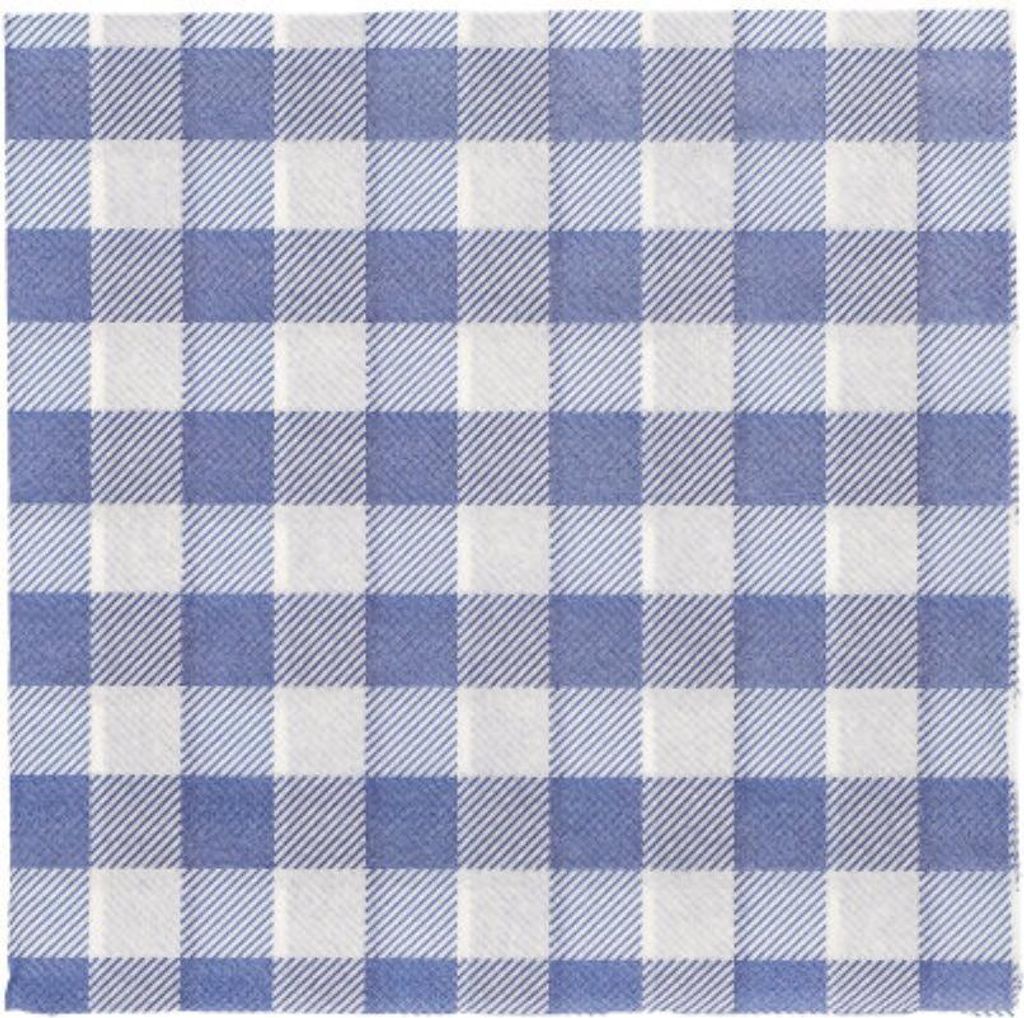 A close-up of a blue and white checkered napkin.