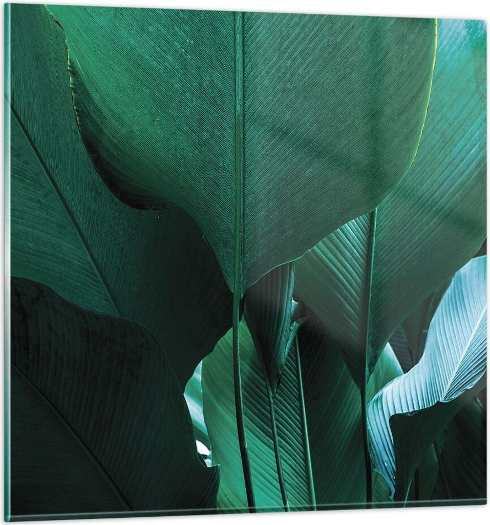 Bilder auf glas - Einteilig - Blätter Palmen Banane - 70x70cm - Glasbilder - Wandbilder - Bilder - zum Aufhängen bereit - Wanddekoration aus Glas...