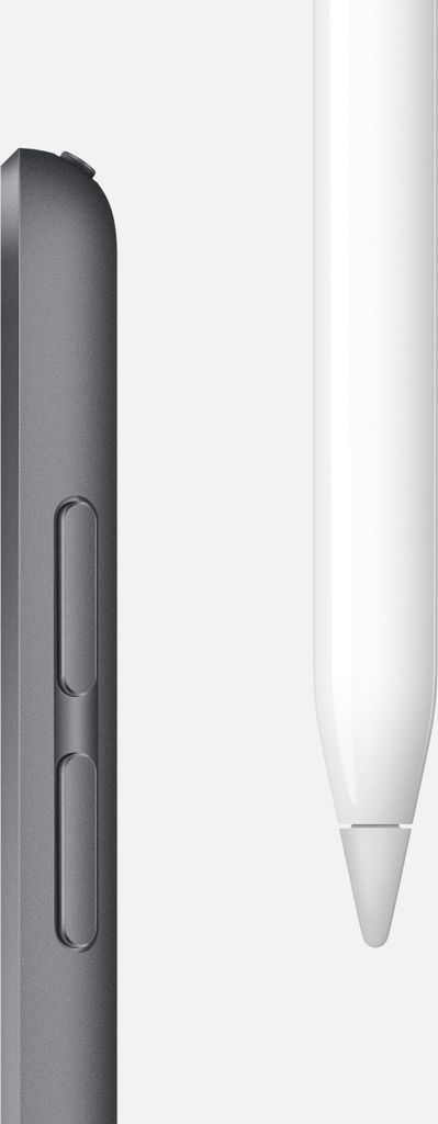 Apple iPad mini, 20,1 cm (7.9"), 2048 x 1536 Pixel, 64 GB, Produktbild 