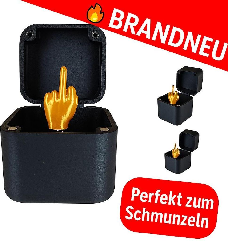 Lustige Geschenkidee Mittelfinger in Box Scherzartikel Deko Gag Büro Gäste Geschenk